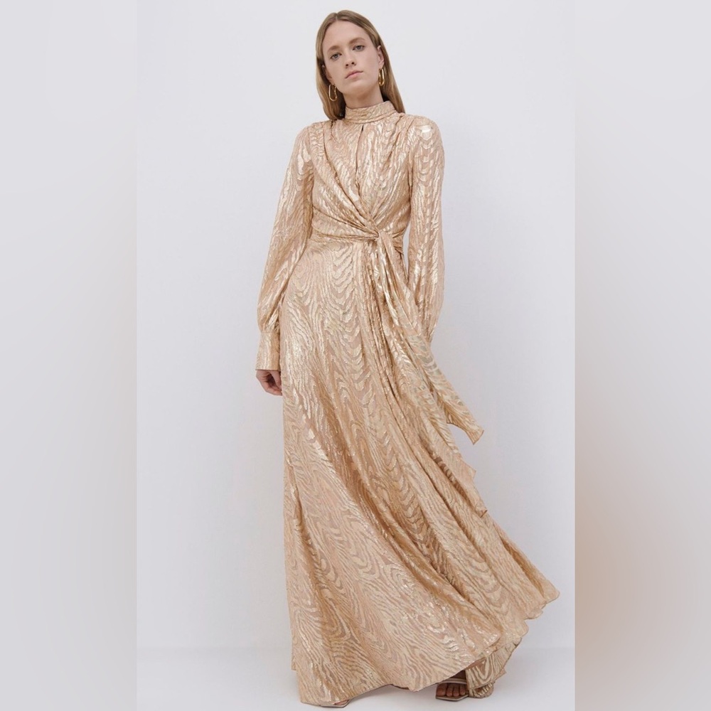 Jonathan Simkahi Merren Silk Gown Size 10